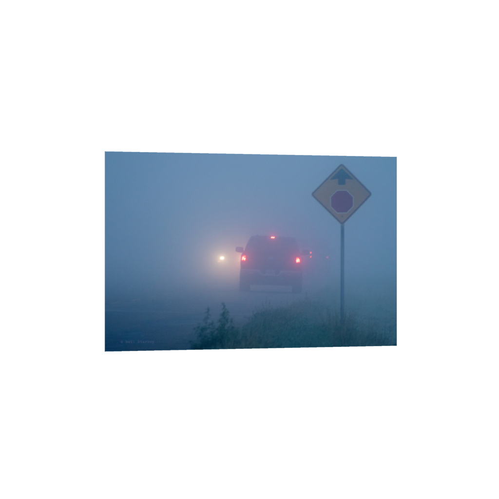 ptq_1_3_0_0_6000_4000_0_false_ffffff_0_0_.png