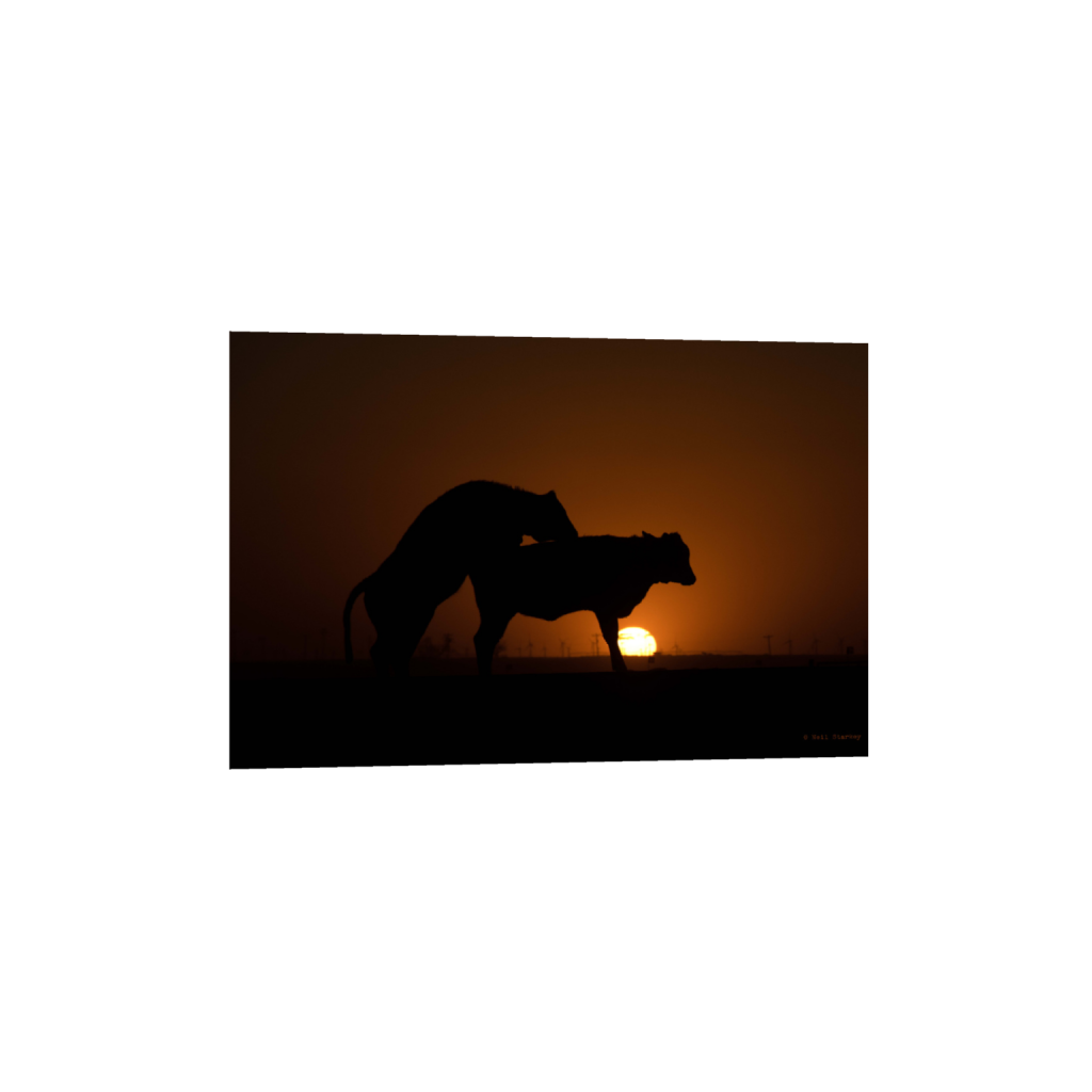ptq_1_3_0_0_6960_4640_0_false_ffffff_0_0_.png