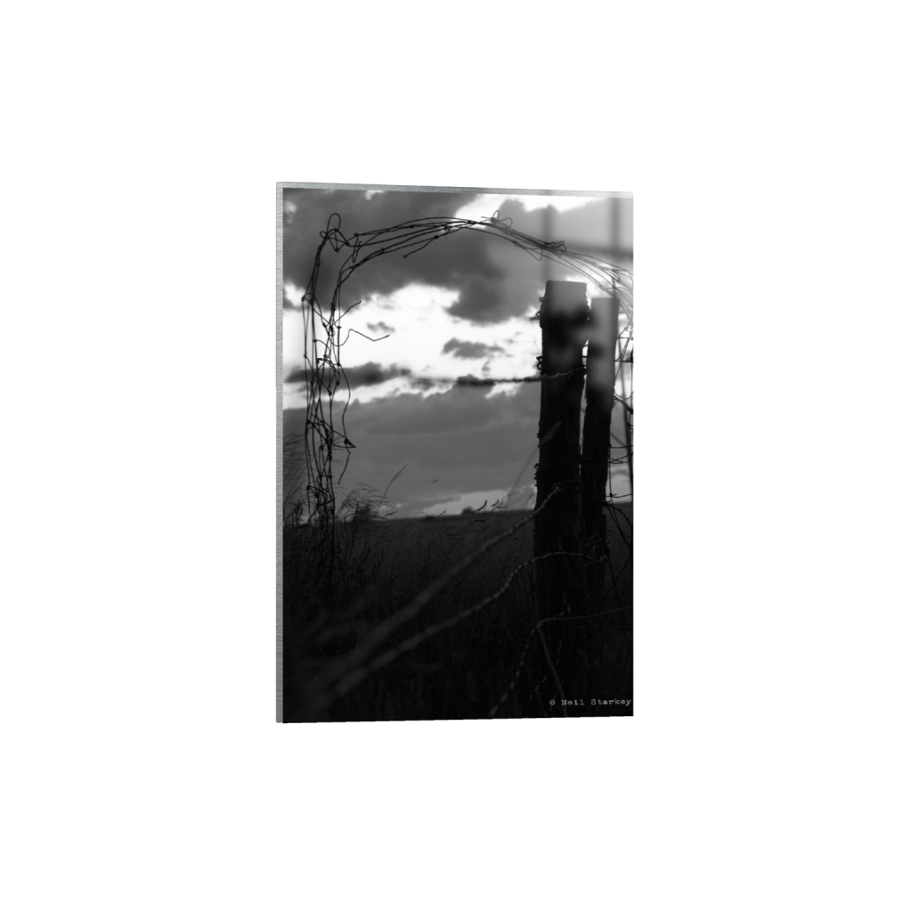 ptq_13_3_0_30_4800_7200_0_false_ffffff_0_0_.png