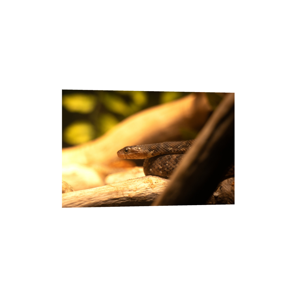 ptq_1_3_0_0_6960_4640_0_false_ffffff_0_0_.png