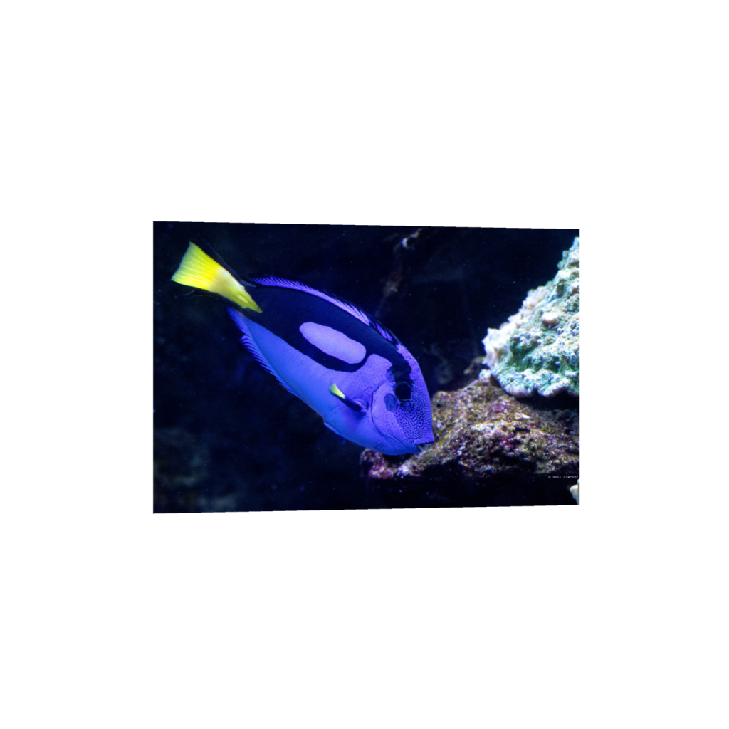 ptq_1_3_0_0_6960_4640_0_false_ffffff_0_0_.png