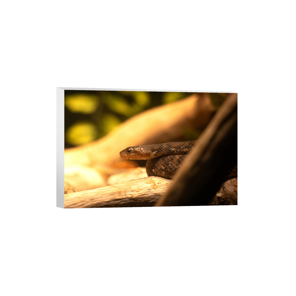 ptq_7_3_0_0_6960_4640_0_false_ffffff_0_0_.png