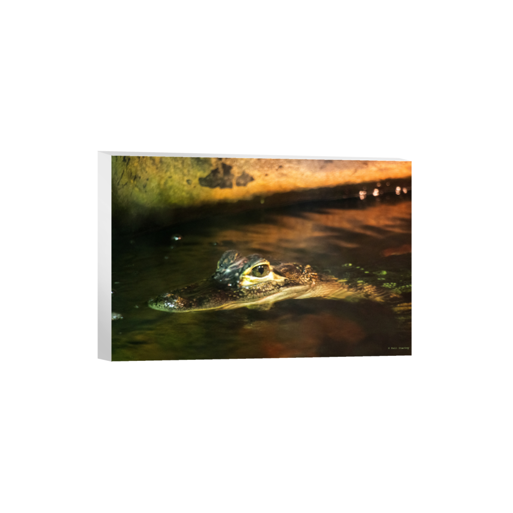 ptq_7_3_0_0_6960_4640_0_false_ffffff_0_0_.png