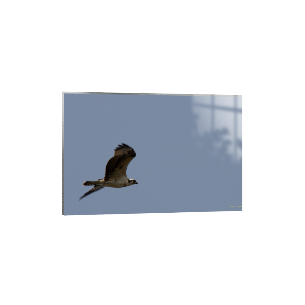 ptq_13_3_0_0_6960_4640_0_false_ffffff_0_0_.png