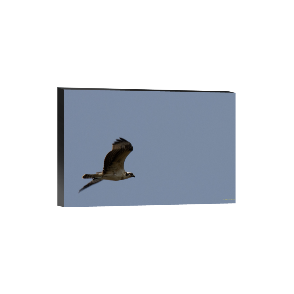 ptq_32_3_0_0_6960_4640_0_false_ffffff_0_0_.png