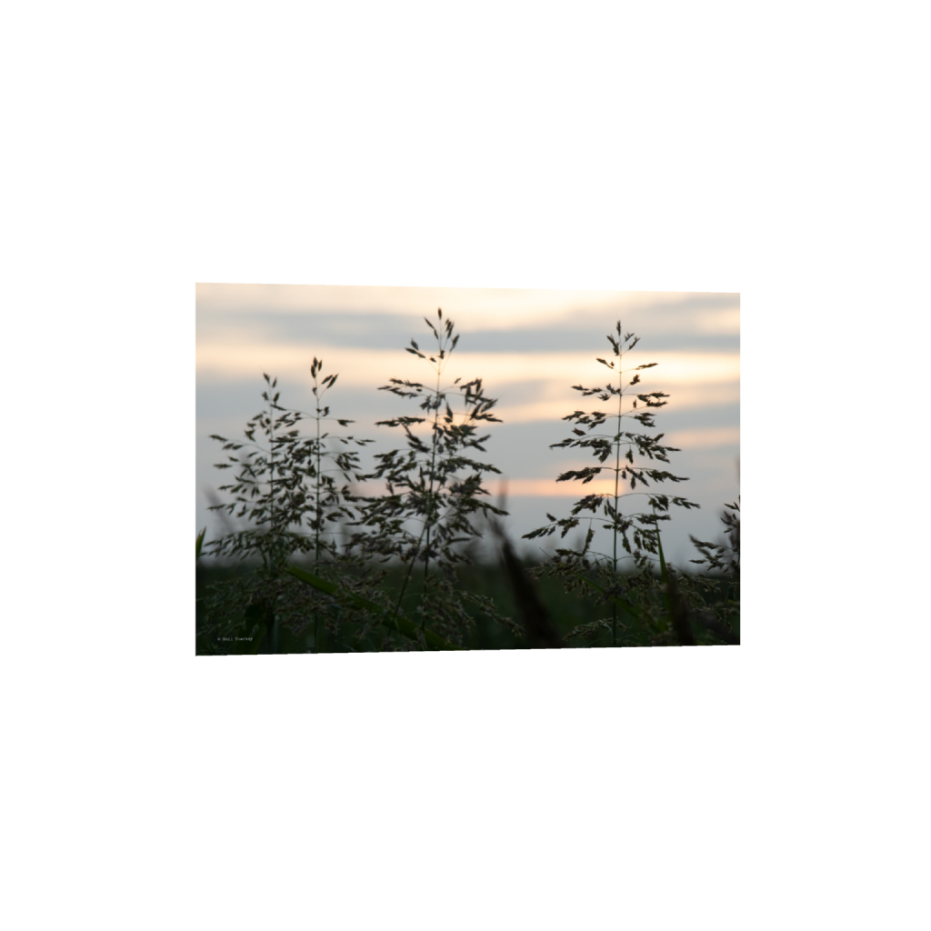 ptq_1_3_0_0_6960_4640_0_false_ffffff_0_0_.png