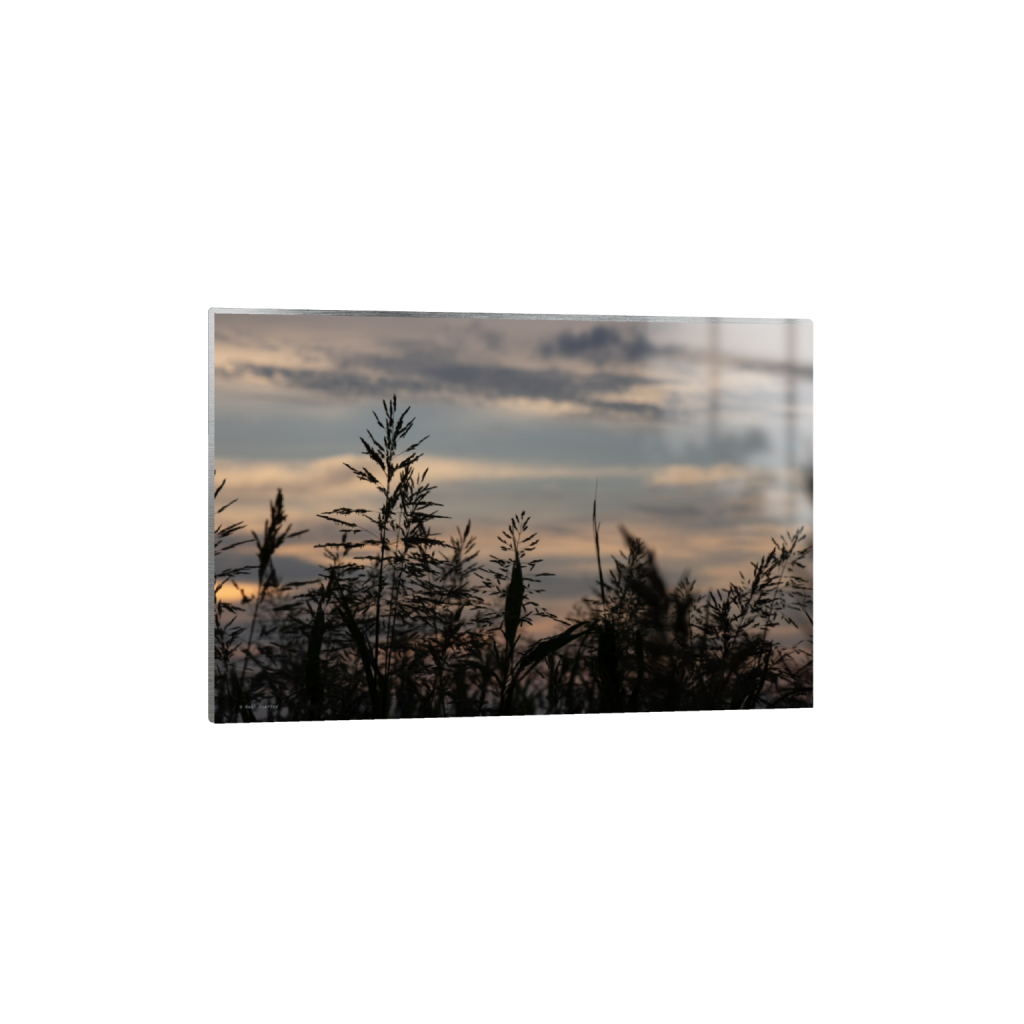 ptq_13_3_0_0_6960_4640_0_false_ffffff_0_0_.png