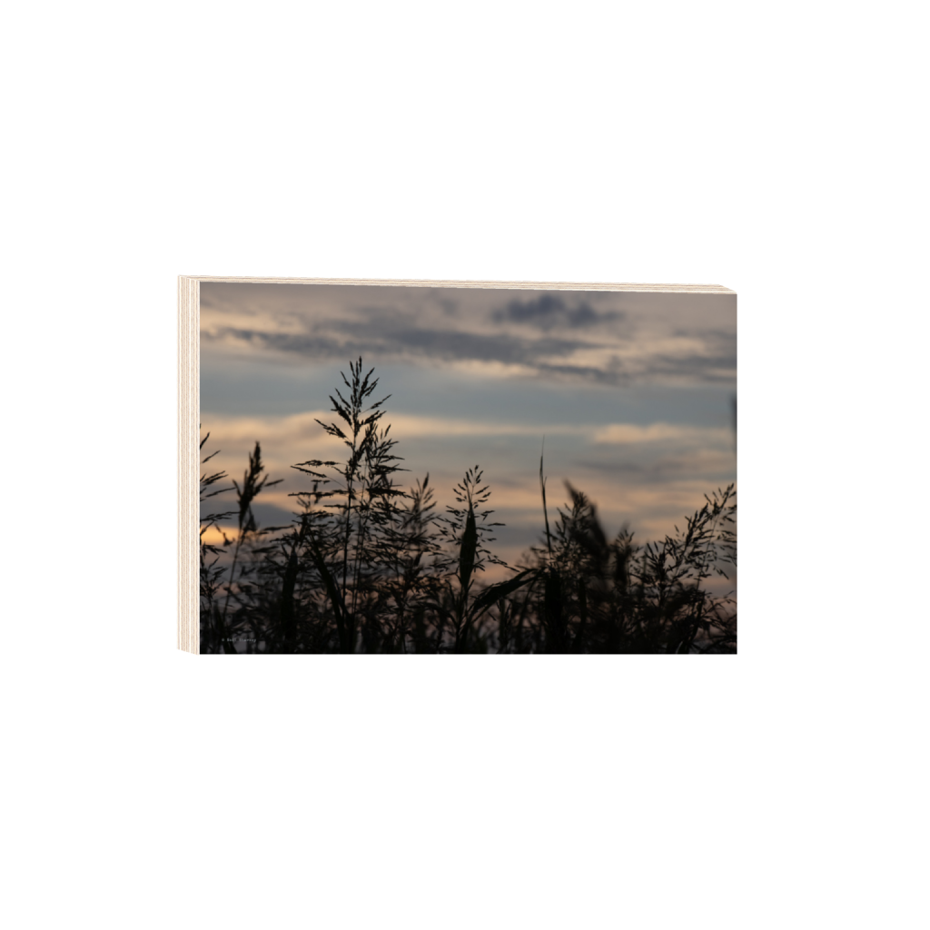 ptq_29_3_0_0_6960_4640_0_false_ffffff_0_0_.png