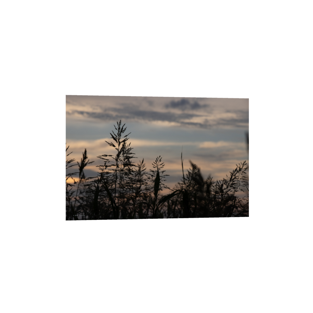 ptq_34_3_0_0_6960_4640_0_false_ffffff_0_0_.png