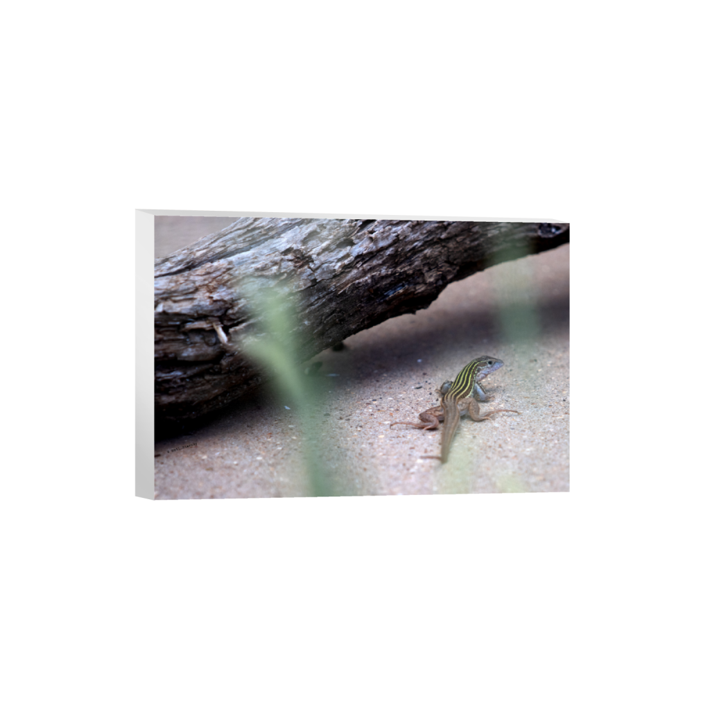 ptq_7_3_0_0_6960_4640_0_false_ffffff_0_0_.png