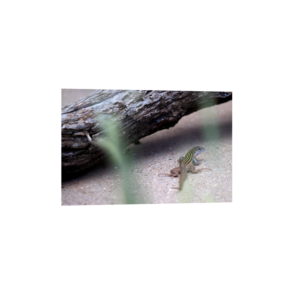 ptq_34_3_0_0_6960_4640_0_false_ffffff_0_0_.png