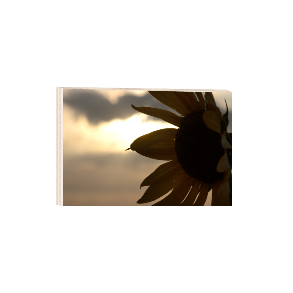 ptq_29_3_0_0_6960_4640_0_false_ffffff_0_0_.png