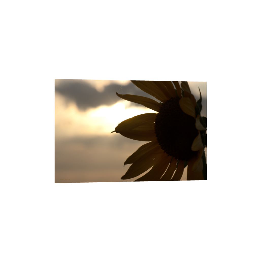 ptq_1_3_0_0_6960_4640_0_false_ffffff_0_0_.png