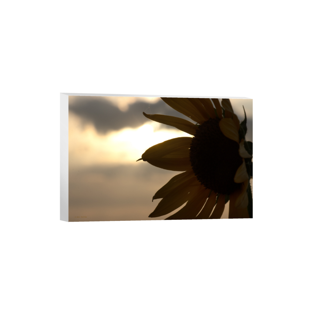 ptq_7_3_0_0_6960_4640_0_false_ffffff_0_0_.png