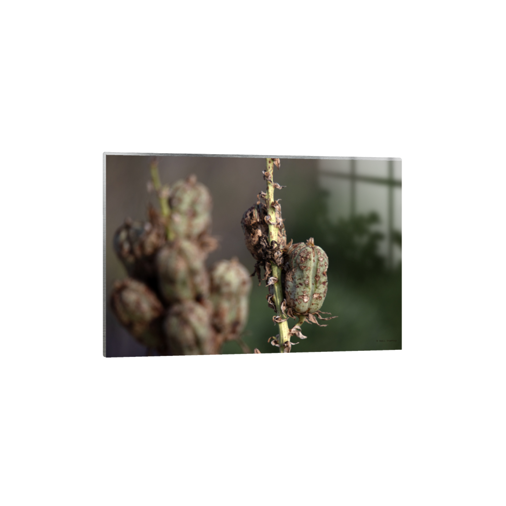 ptq_13_3_0_0_6960_4640_0_false_ffffff_0_0_.png