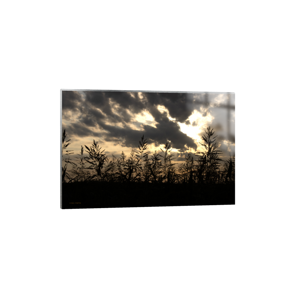 ptq_13_3_0_0_6960_4640_0_false_ffffff_0_0_.png