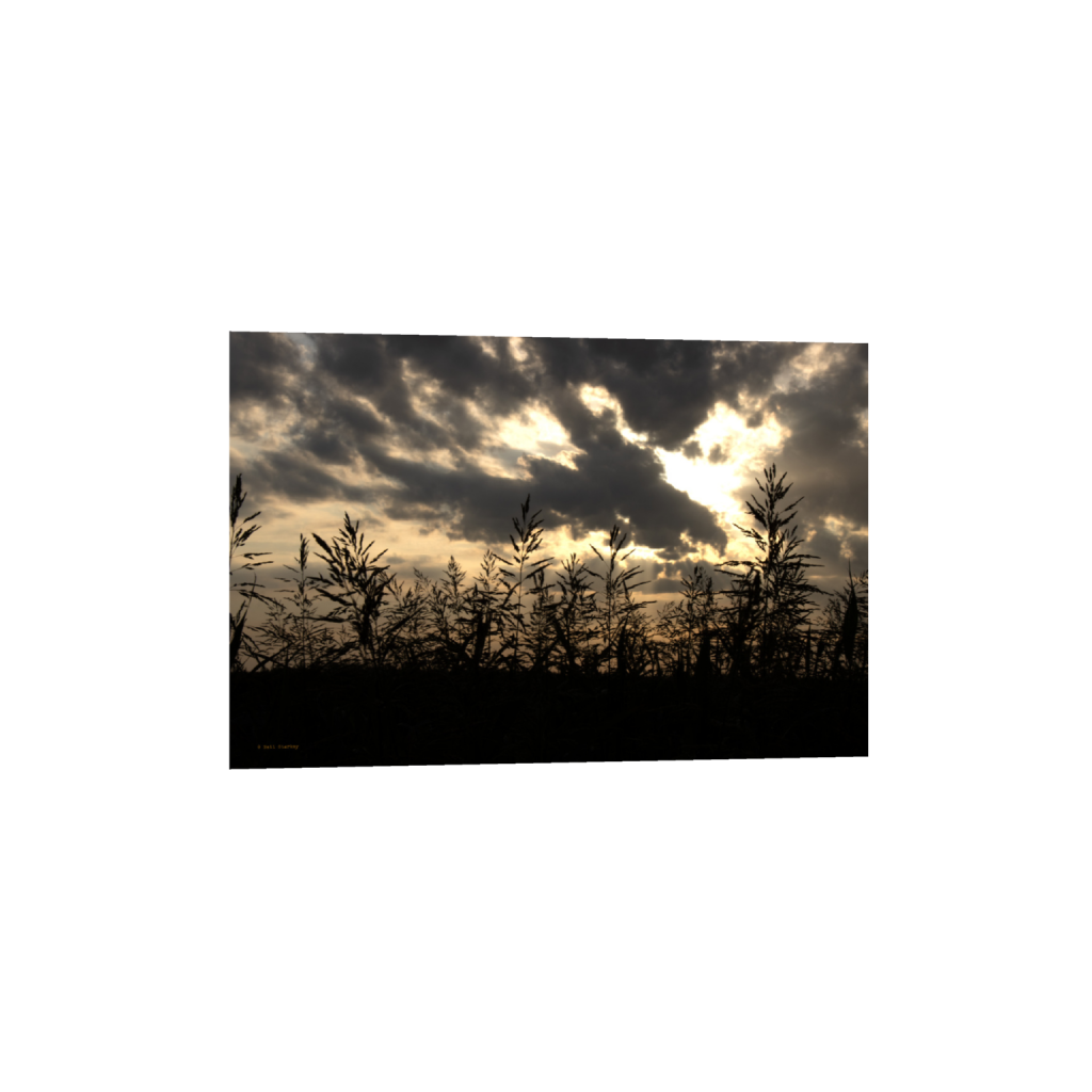 ptq_1_3_0_0_6960_4640_0_false_ffffff_0_0_.png