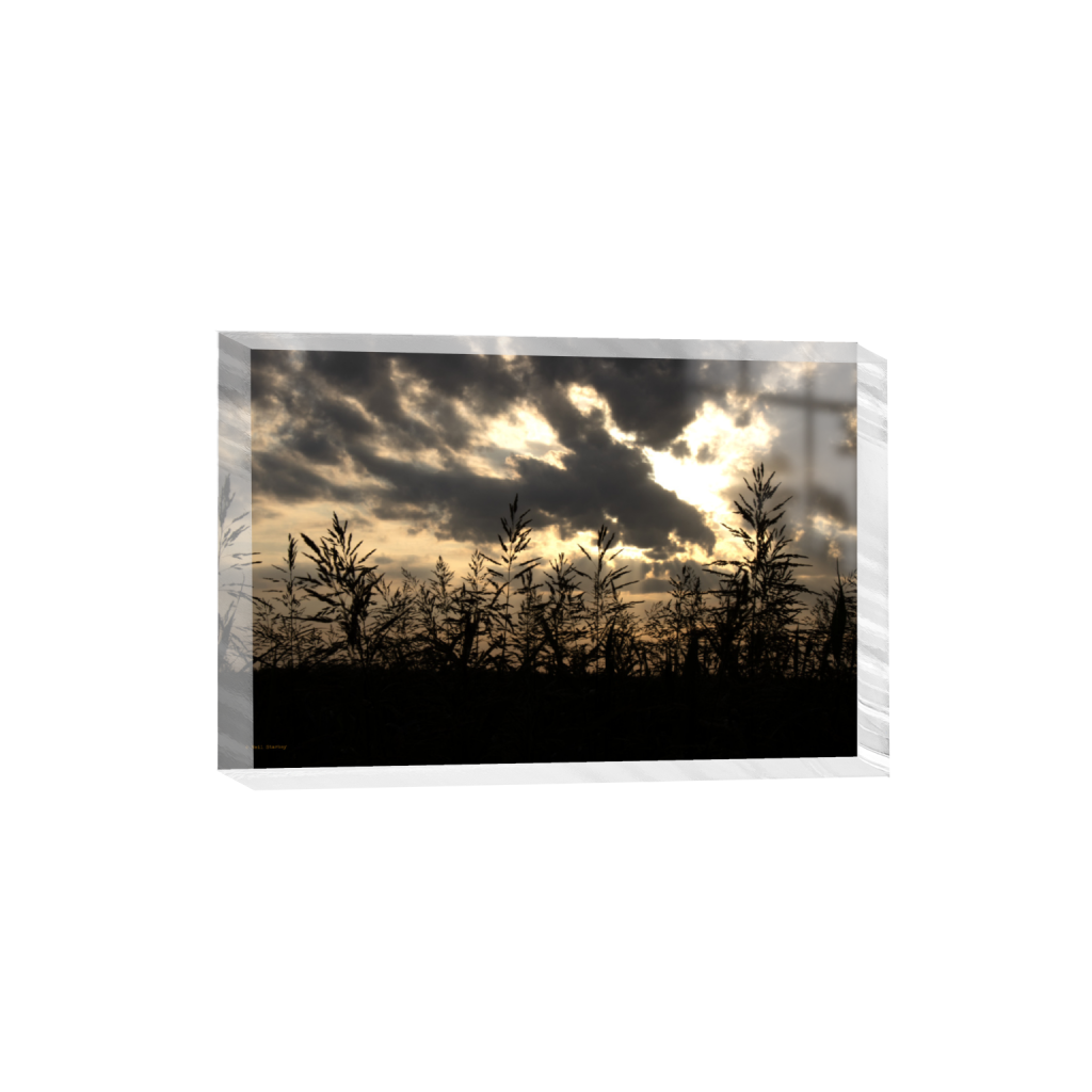 ptq_300_3_0_0_6960_4640_0_false_ffffff_0_0_.png