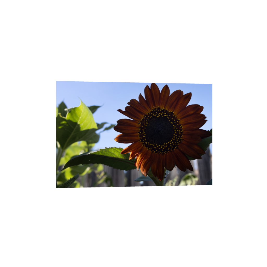 ptq_34_3_0_0_6960_4640_0_false_ffffff_0_0_.png