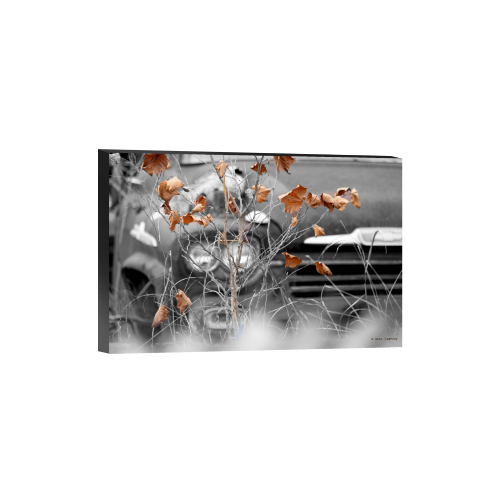 ptq_32_3_0_0_6960_4640_0_false_ffffff_0_0_.png