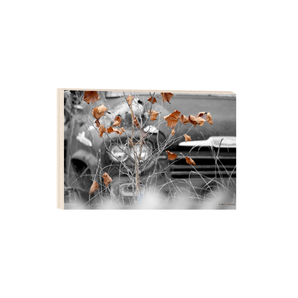 ptq_29_3_0_0_6960_4640_0_false_ffffff_0_0_.png