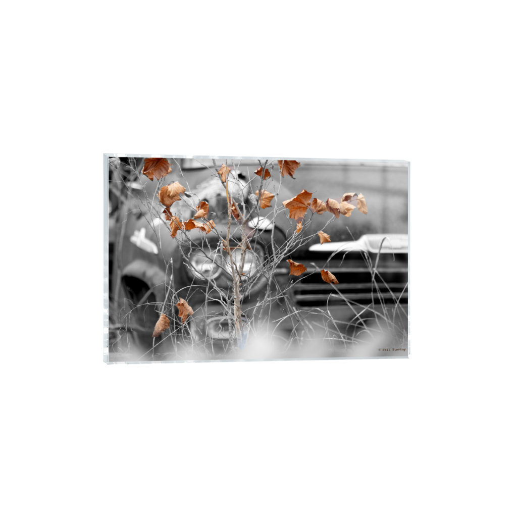 ptq_17_3_0_0_6960_4640_0_false_ffffff_0_0_.png