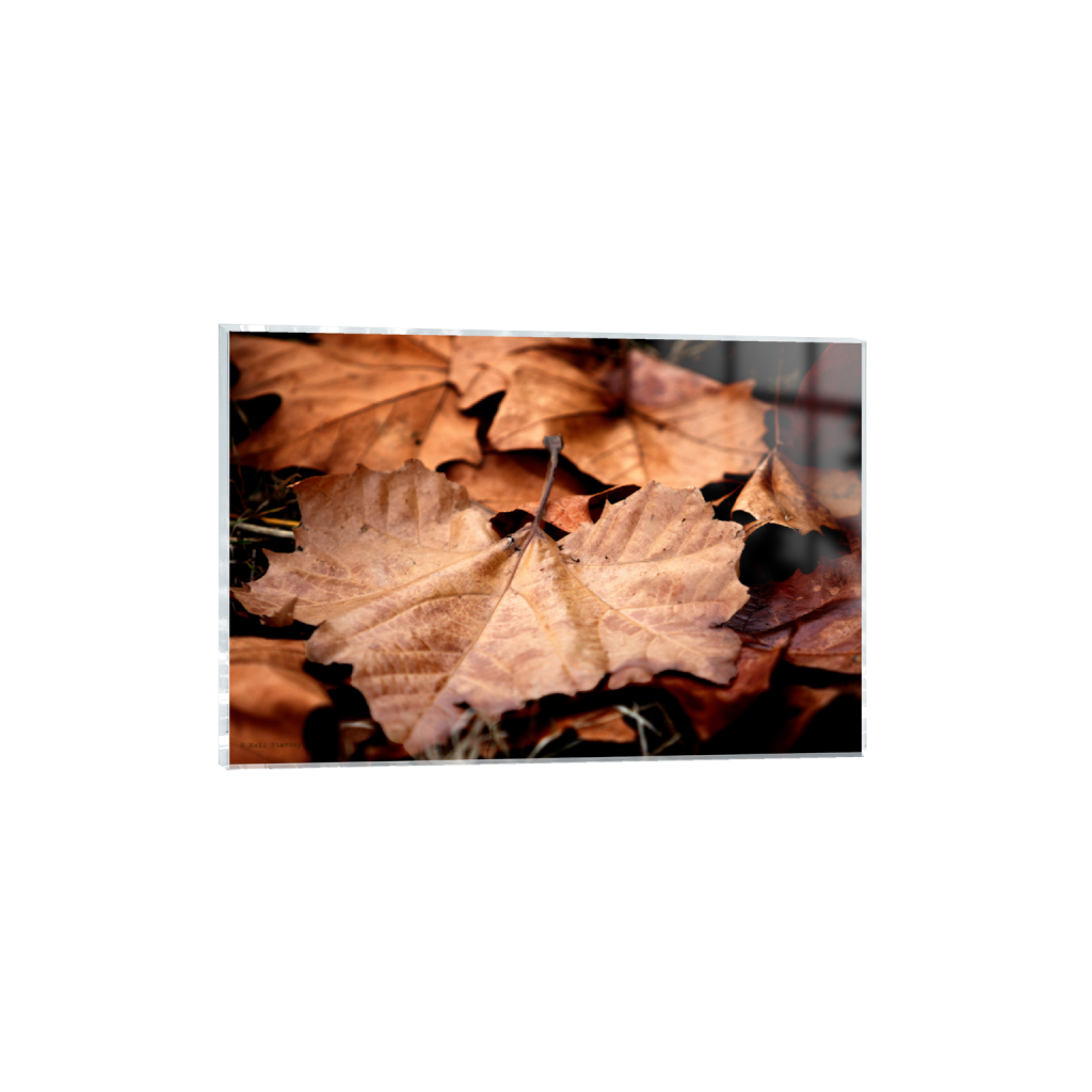 ptq_17_3_0_0_6960_4640_0_false_ffffff_0_0_.png