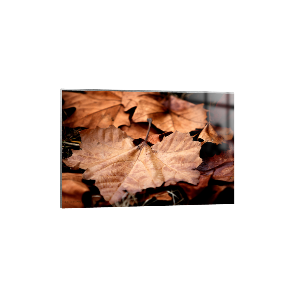 ptq_13_3_0_0_6960_4640_0_false_ffffff_0_0_.png