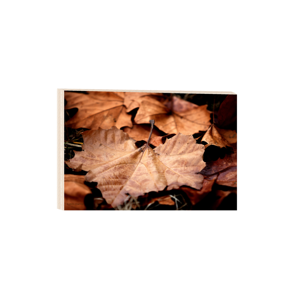 ptq_29_3_0_0_6960_4640_0_false_ffffff_0_0_.png
