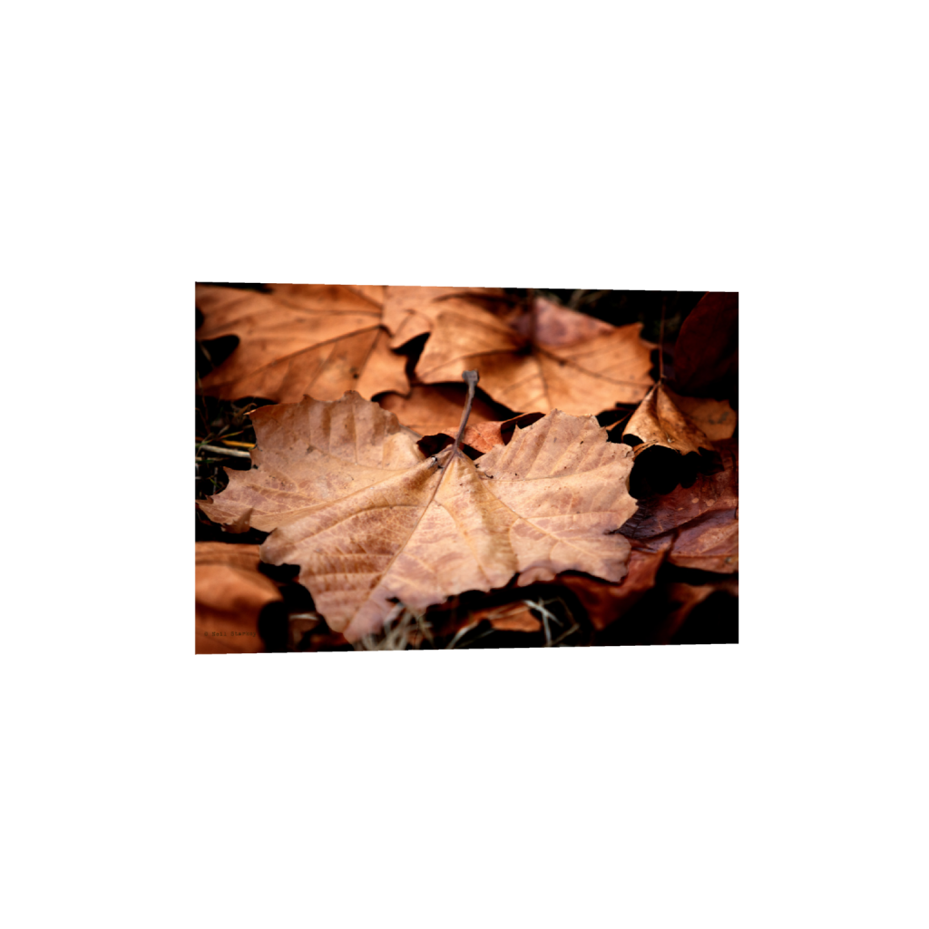 ptq_1_3_0_0_6960_4640_0_false_ffffff_0_0_.png