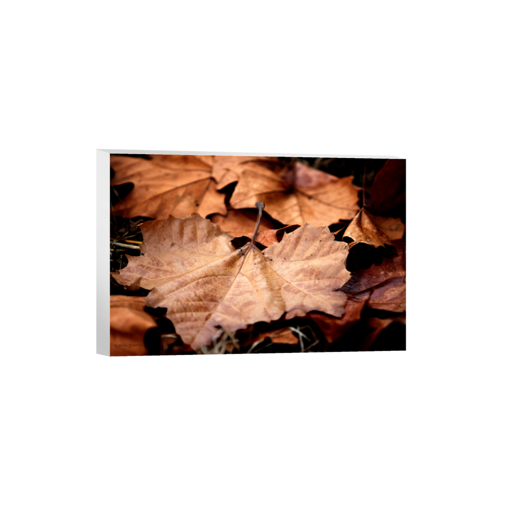 ptq_7_3_0_0_6960_4640_0_false_ffffff_0_0_.png