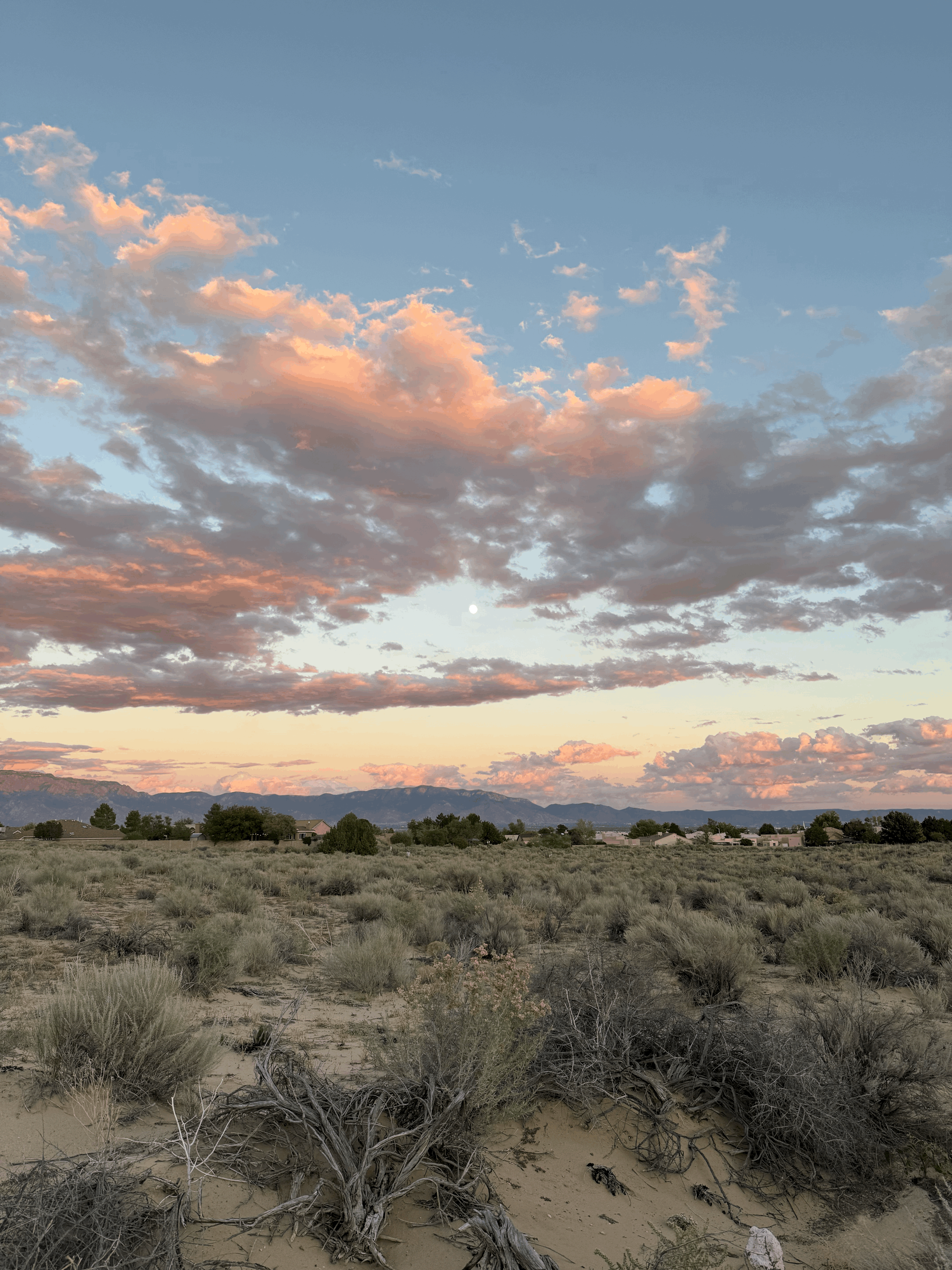 Macrodosing: A Beginners Guide