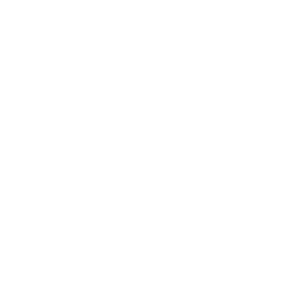 sinnex.png
