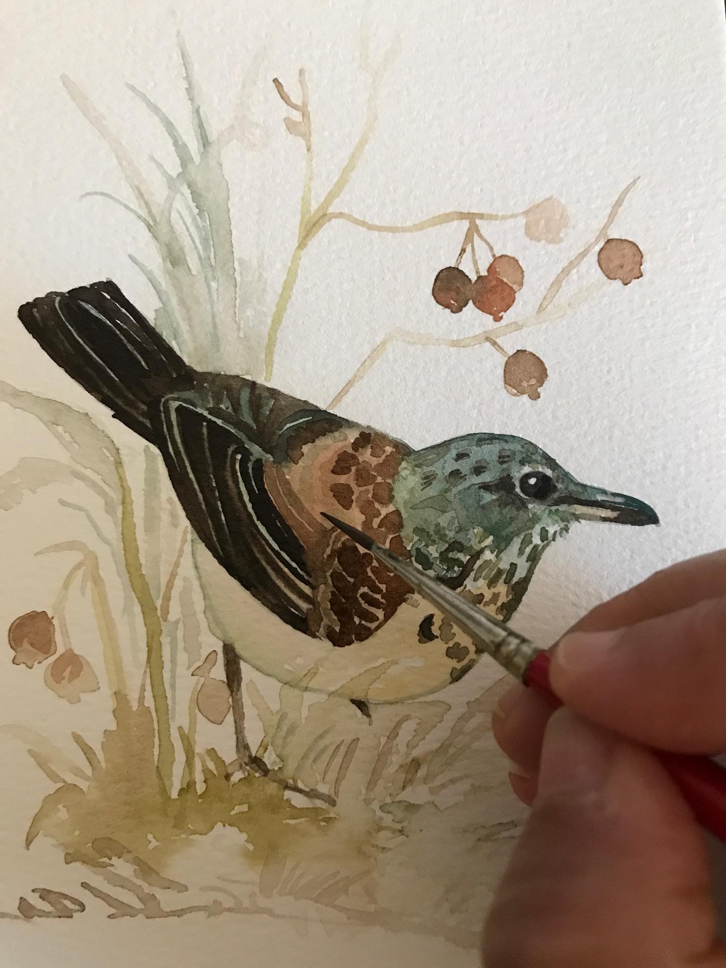 Painting some watercolor birds!

#watercolor #birds #birdillustration #bayareaartist #paintingwatercolour #birdwatchers #ilovebirds #birdpainting #surfacepatterndesigner #art #watercolorbirds