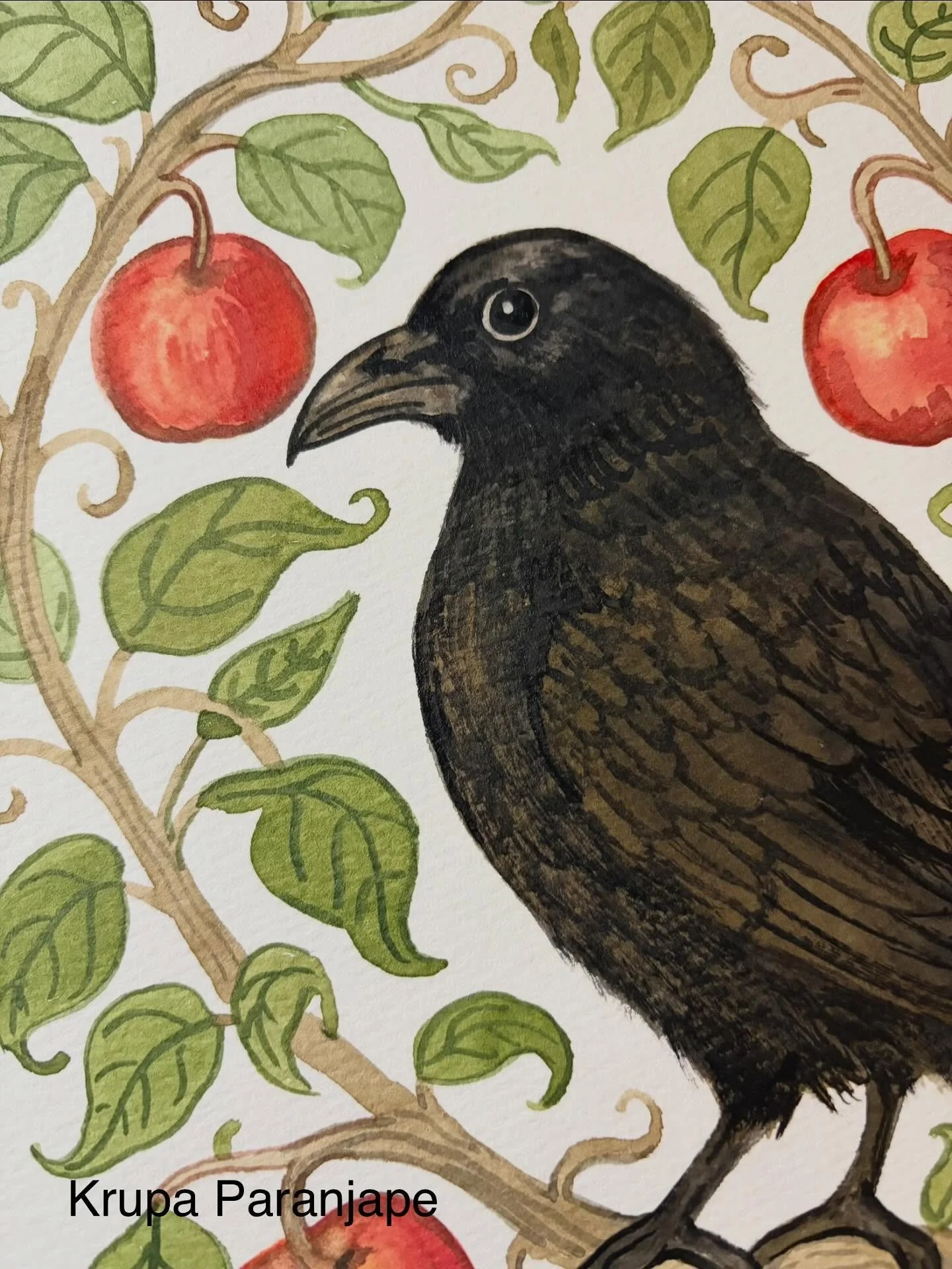 Apple and Crows watercolors .. getting ready for our upcoming Holiday show! Stay tuned for more details 

.
.
#crows #apples #watercolor #birdillustration #bayareaartist #patterndesigner #aboutpattern #designprenuer #holidayshow #holidaygifts #thankf