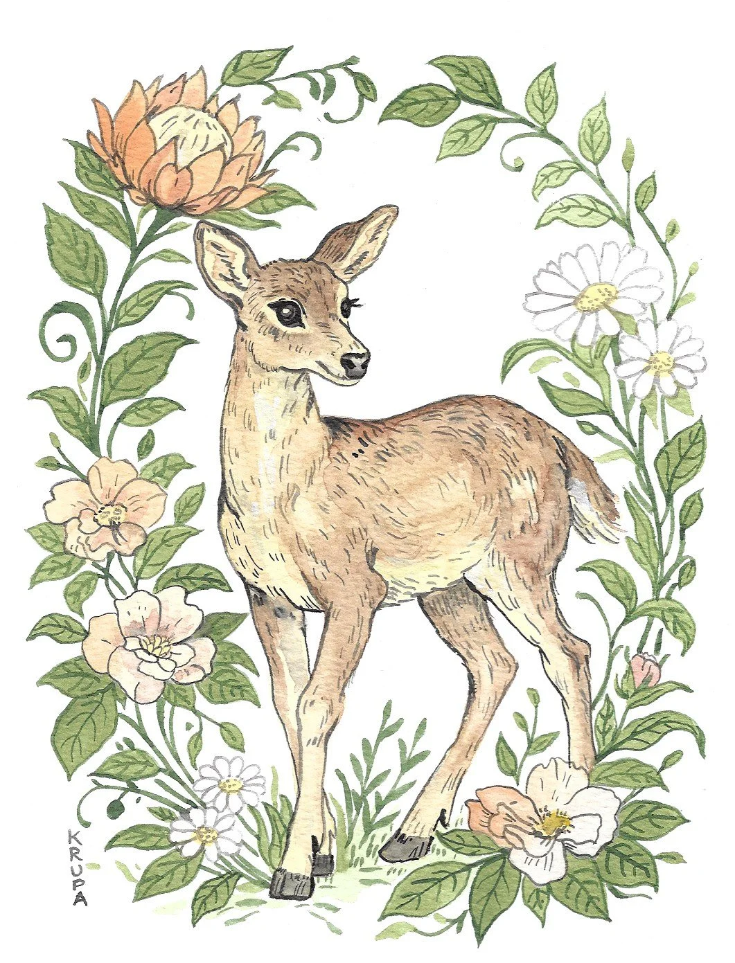 Deer.jpeg