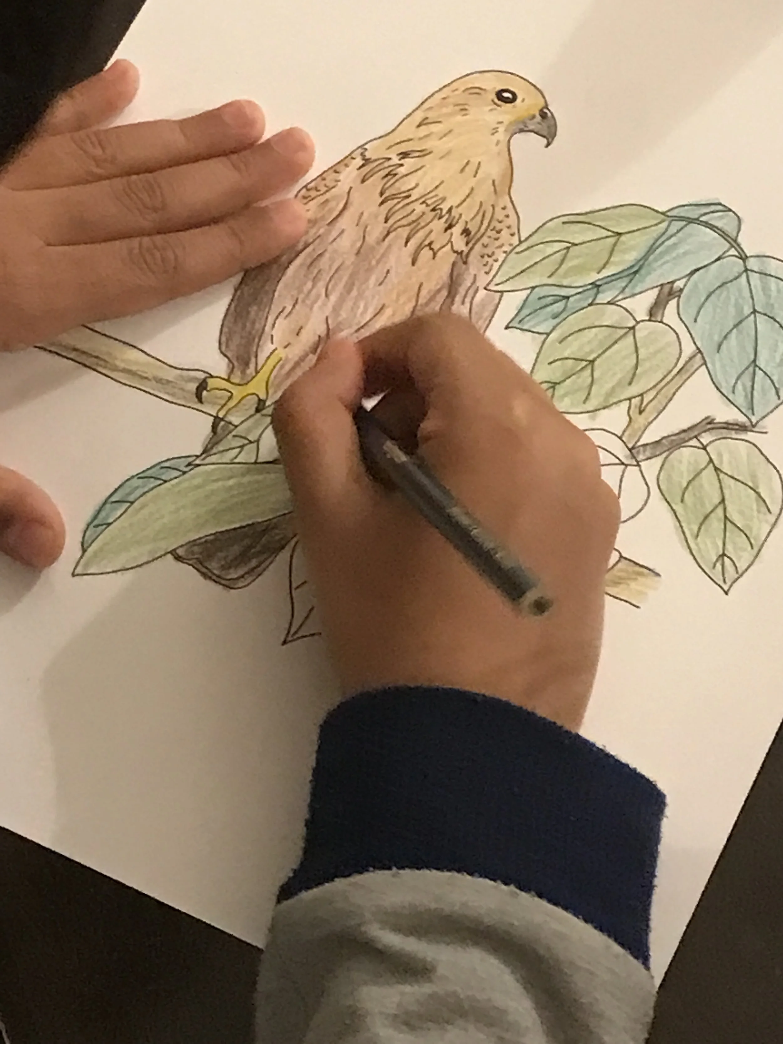 Art Classes - Doodles Nest