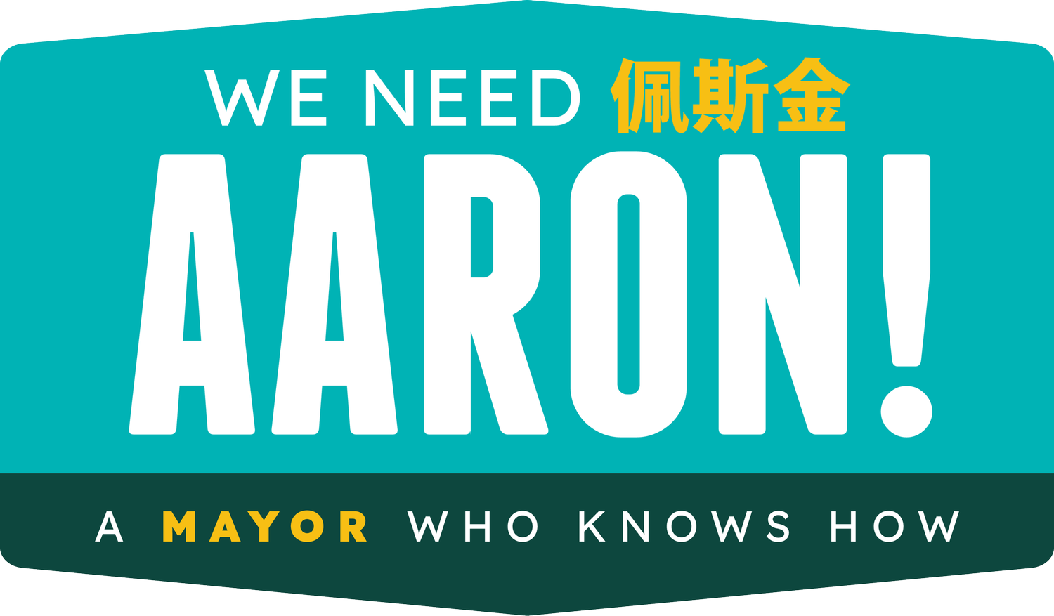 Aaron Peskin for Mayor 2024