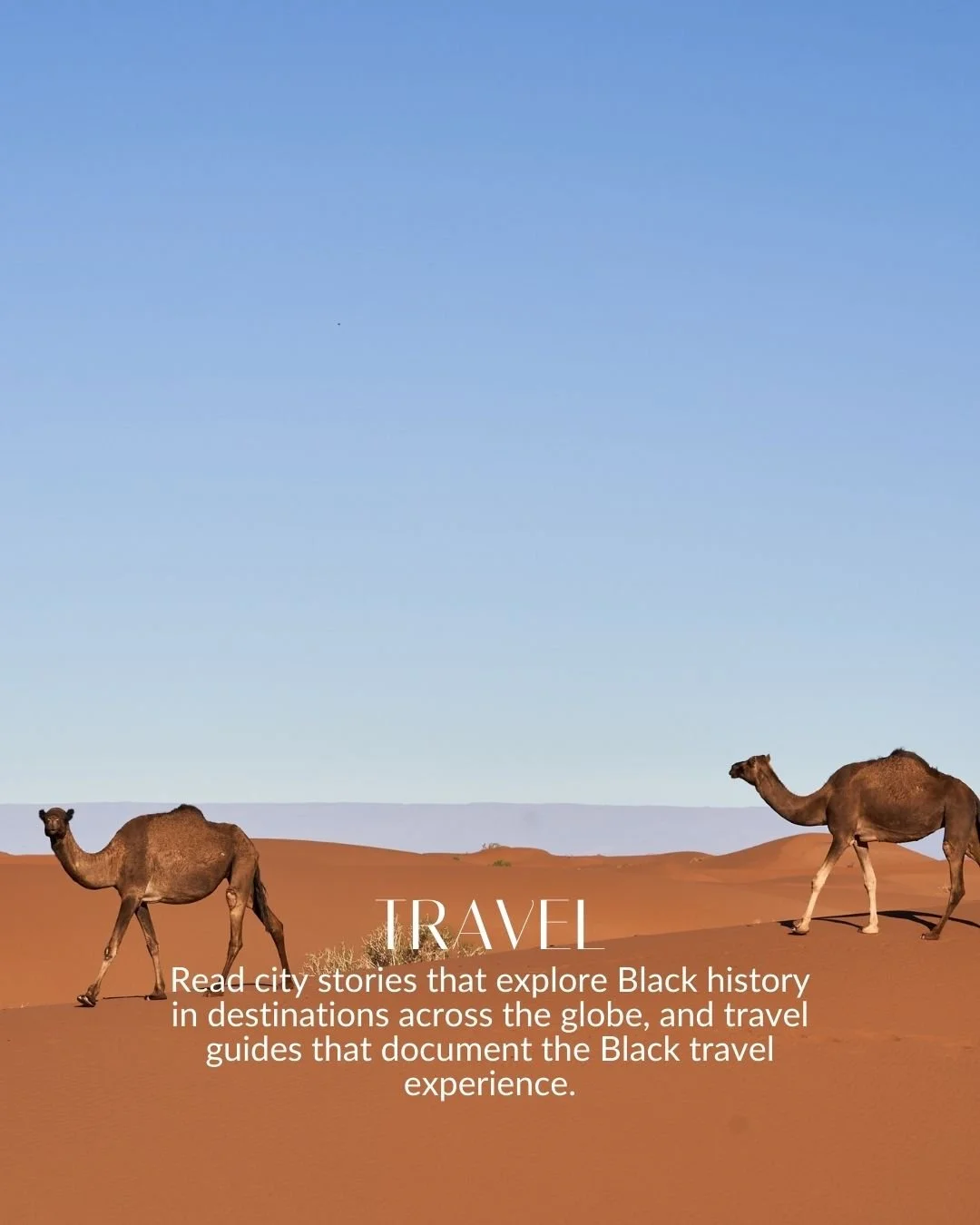 travel blog cover (1).jpg