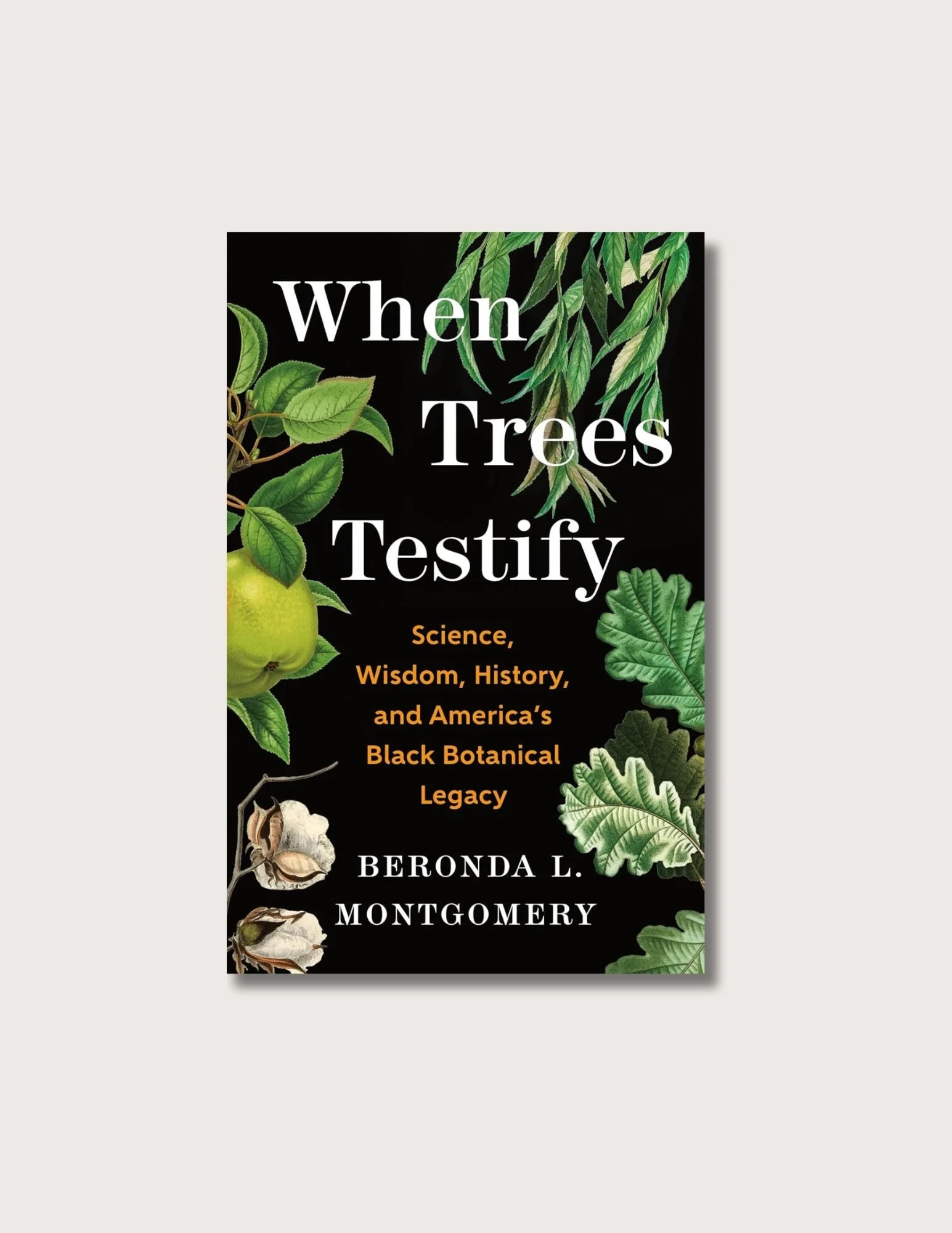 when trees testify cover.jpg
