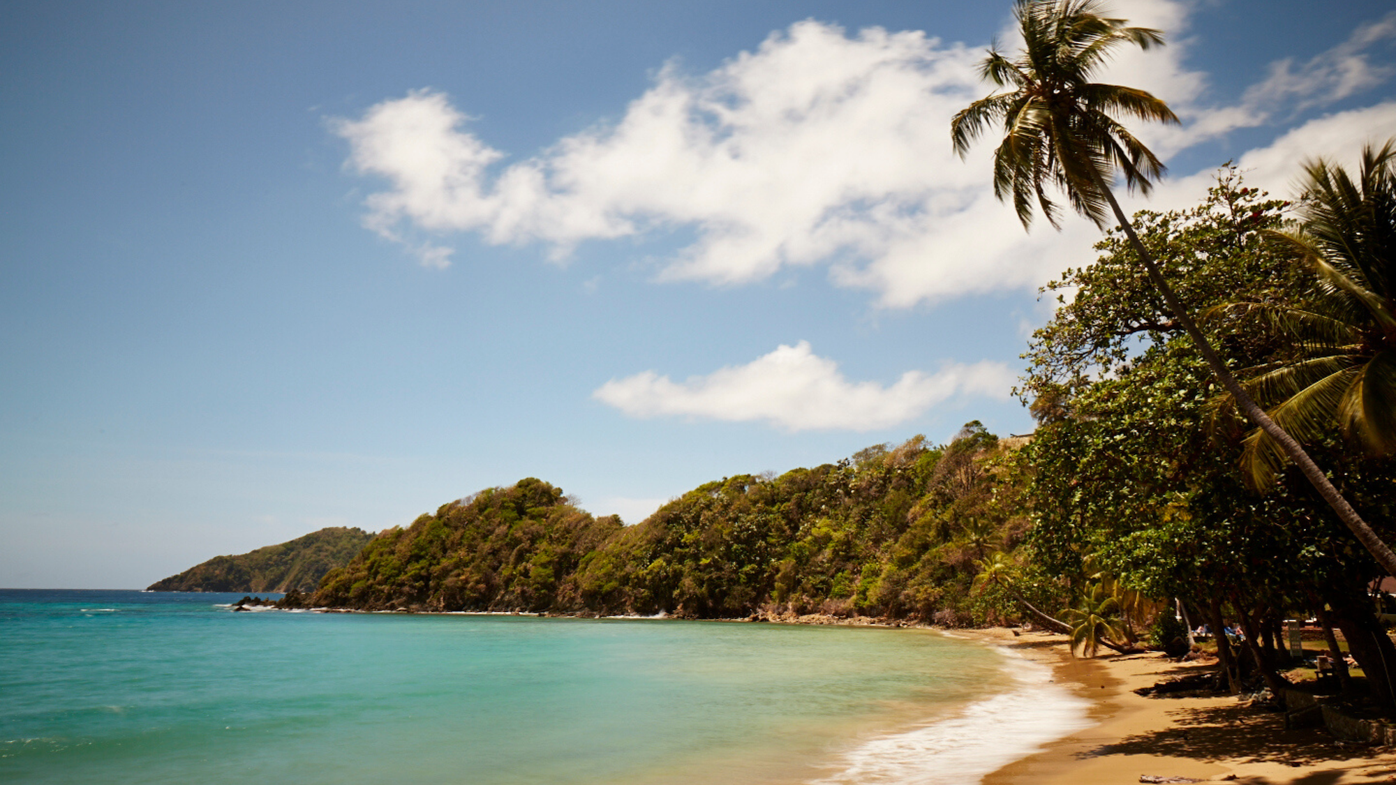 TRAVEL | Tobago In Color: Tobago is beautiful. With lush rainforests, towering mountains and endless beaches, it is beautiful in a way rivaled only by those few places equally fortunate to be located somewhere in the Caribbean Sea. It’s easy to belie