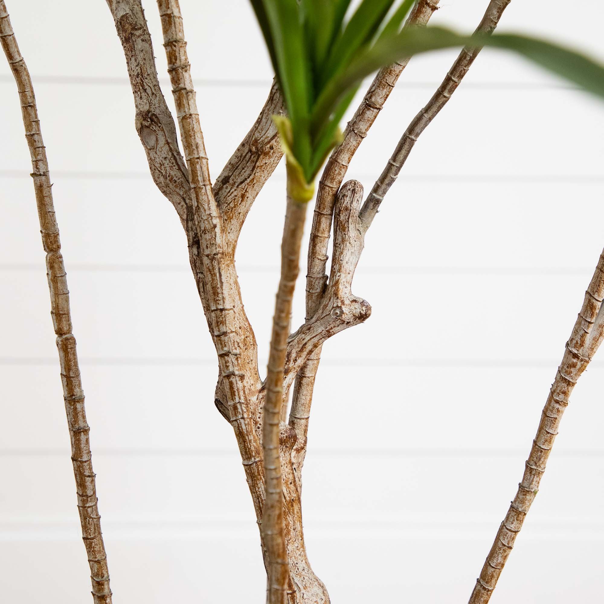 faux Dracaena Tree 3.jpg