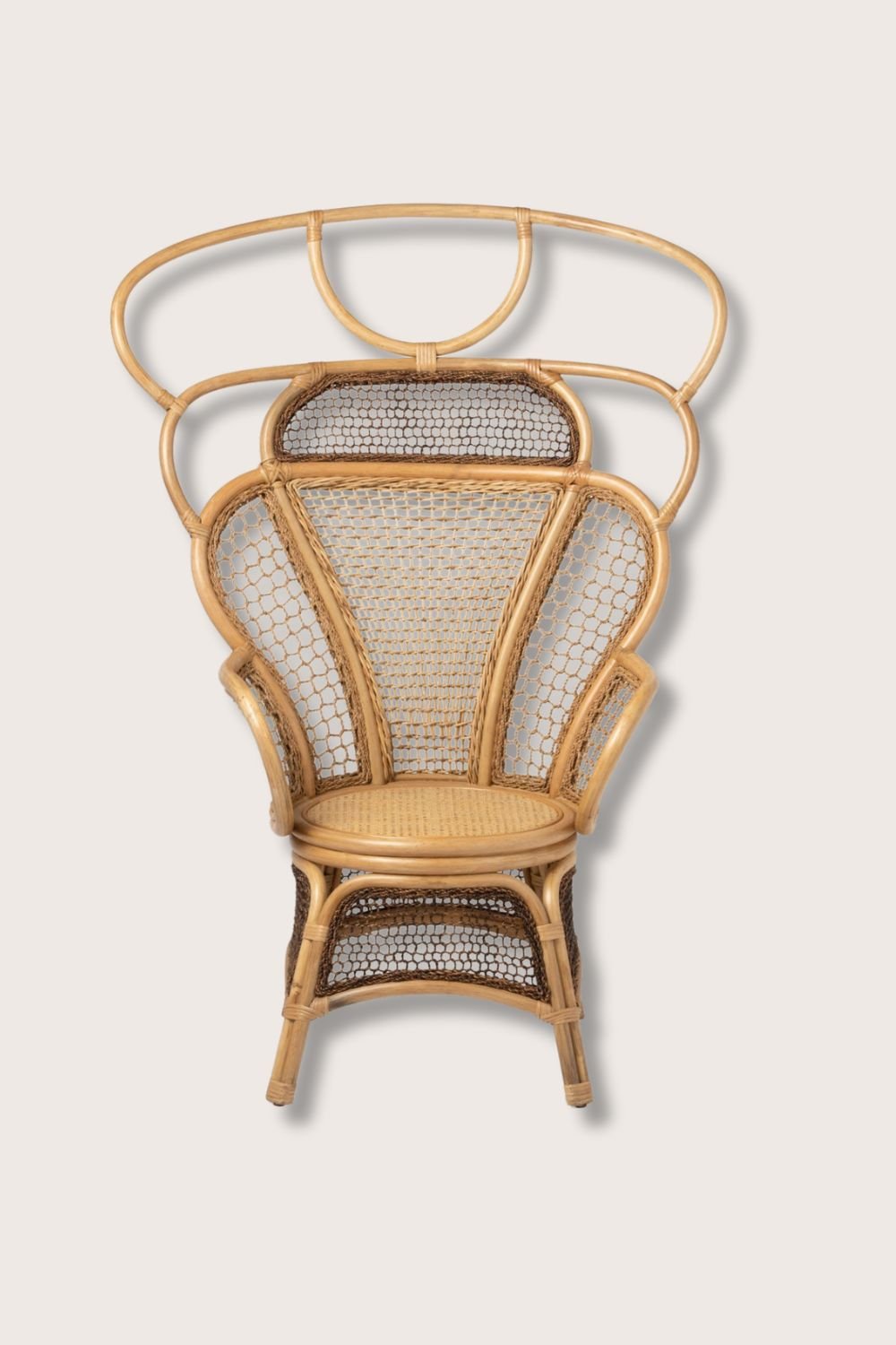 peacock wingback chair 1.jpg