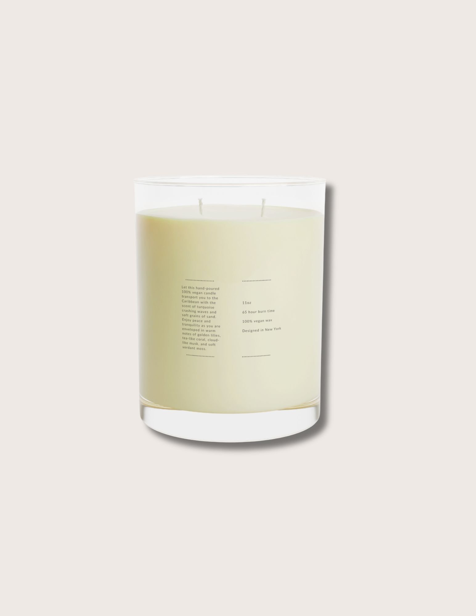 ocean mist and moss candle_front (2).jpg