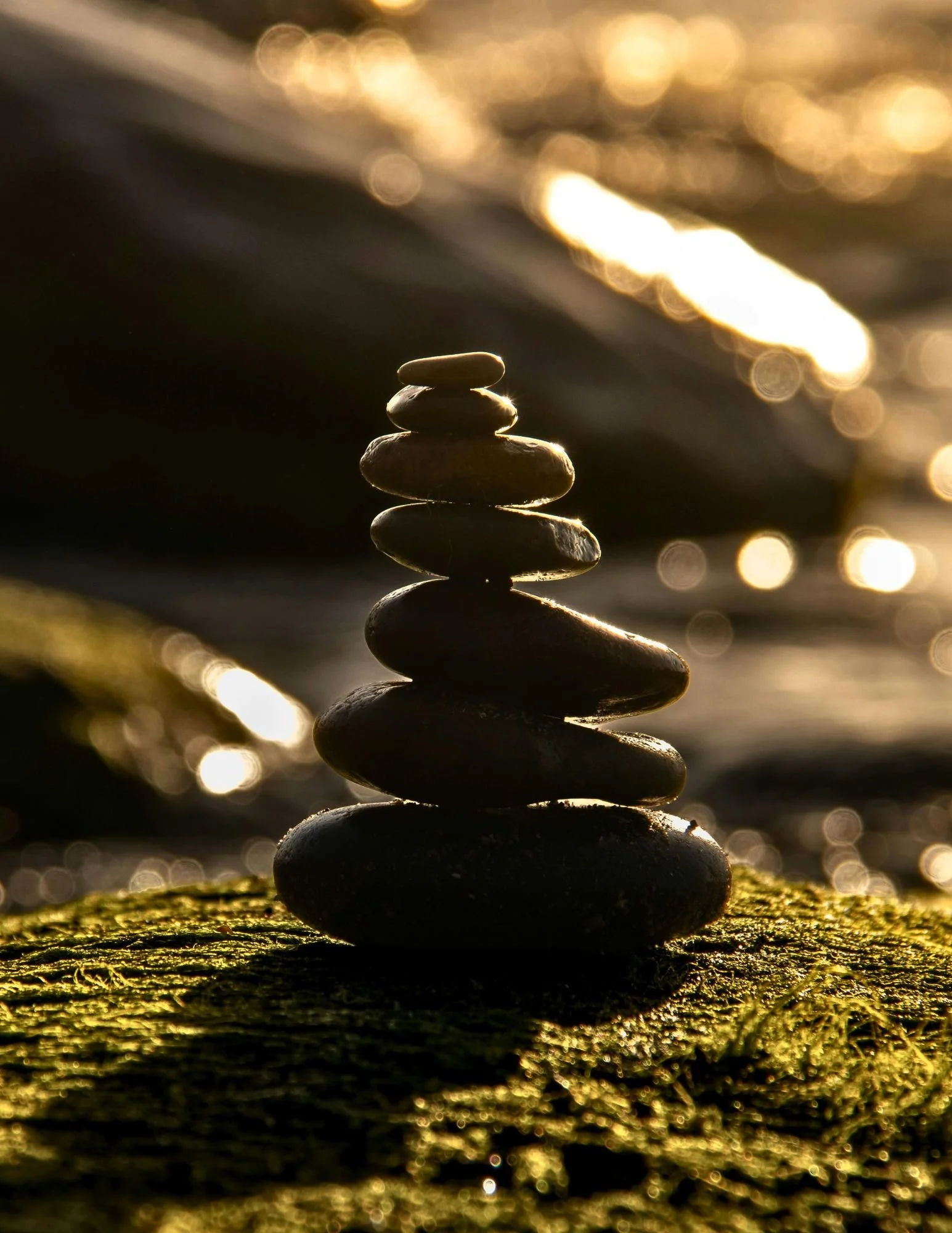 ocean mist and moss candle_lifestyle 3.jpg