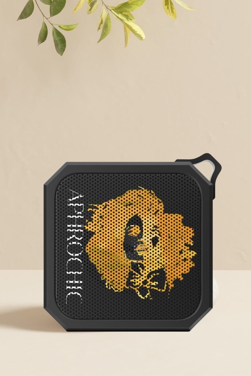 Hustle+speaker+.jpg