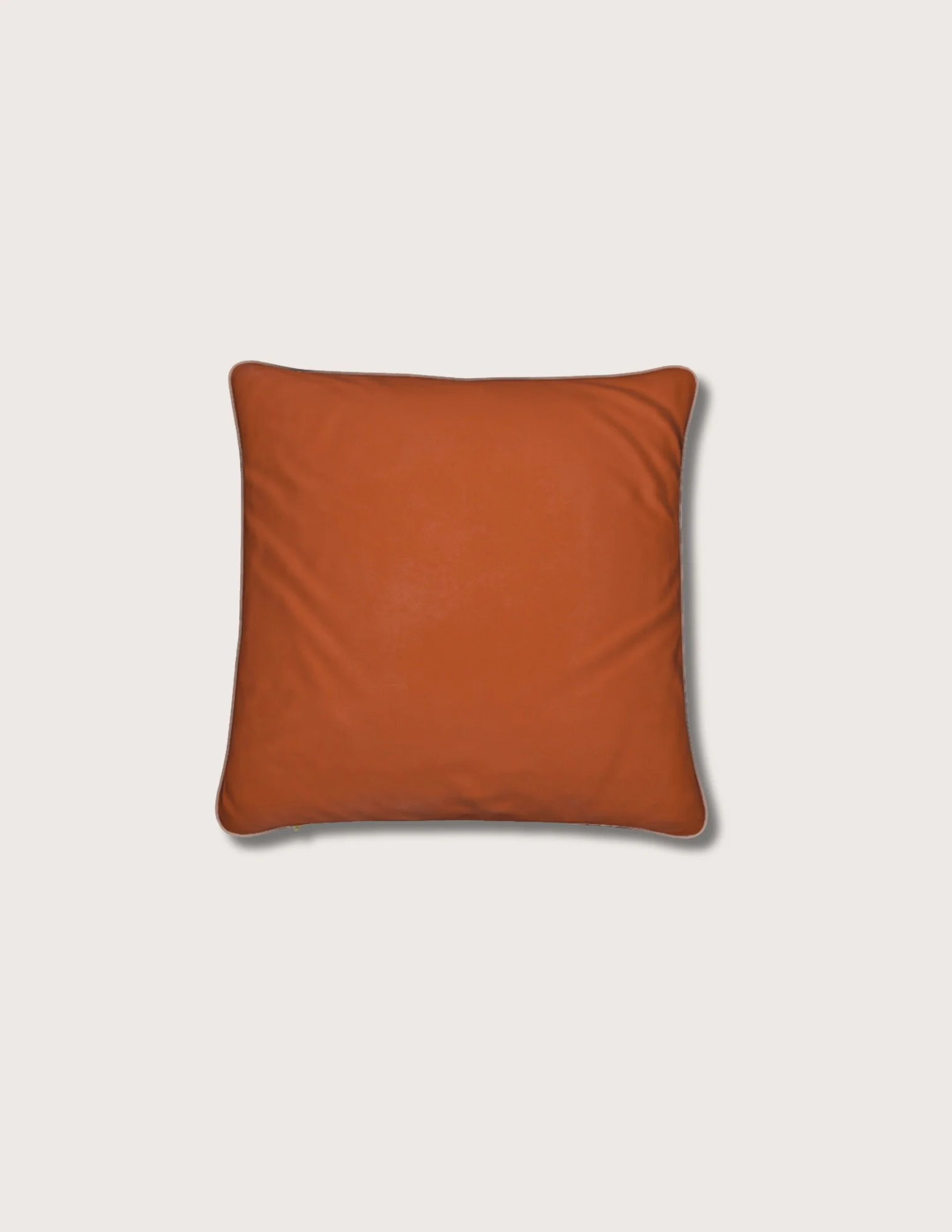 hieratic pillow_sienna_back.jpg