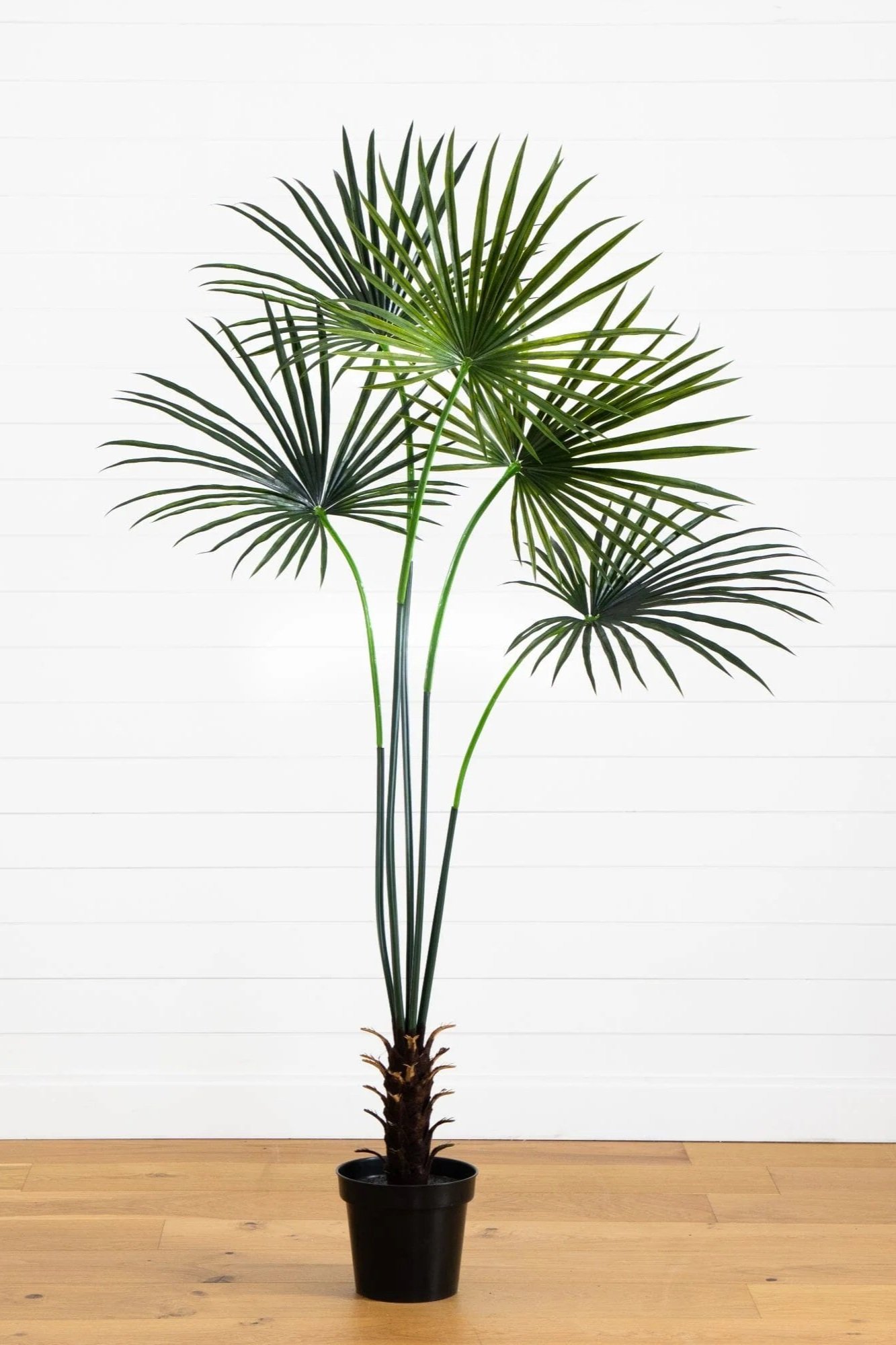 Faux Fan Palm Tree 7’