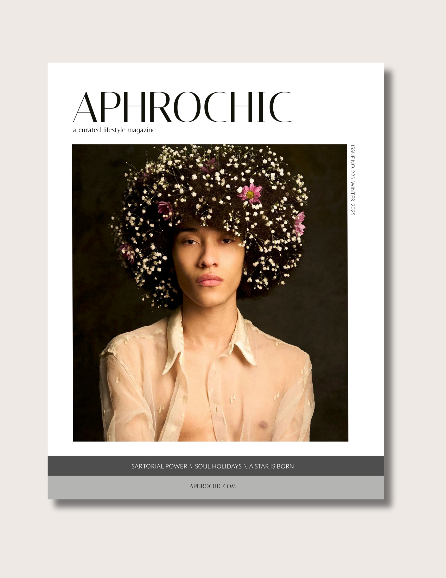 aphrochic magazine issue 22 cover.png
