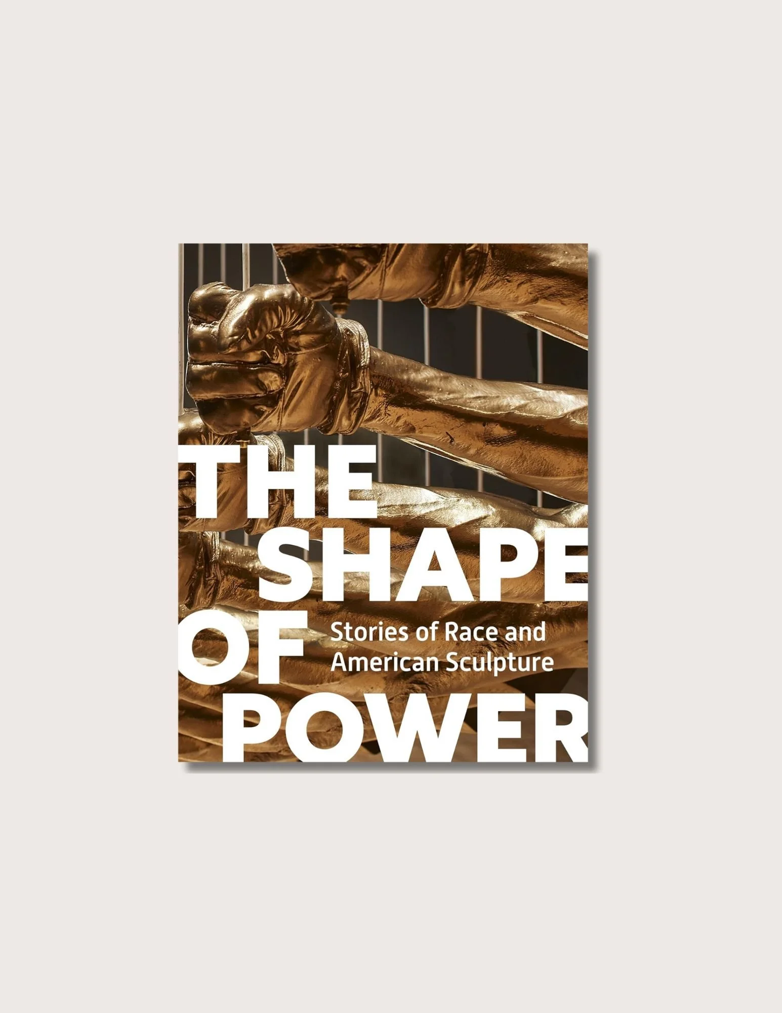 The Shape of Power: Stories of Race and American Sculpture